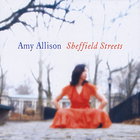 amy allison - Sheffield Streets