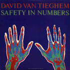 David Van Tieghem - Safety In Numbers (Vinyl)