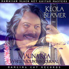Mauna Kea White Mountain Journal