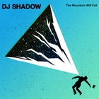 DJ Shadow - The Mountain Will Fall (Deluxe Edition)