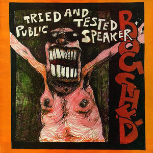 Tried And Tested Public Speaker (Vinyl)