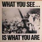 Alternative Tv - What You See Is Whatyou Are (Vinyl)