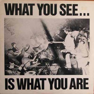 What You See Is Whatyou Are (Vinyl)