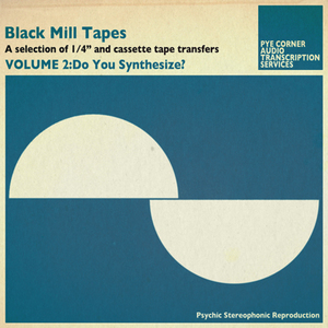 Black Mill Tapes Volume 2: Do You Synthesize?