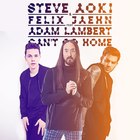Steve Aoki - Can't Go Home (Radio Edit) (CDS)