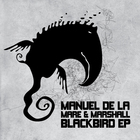 Manuel De La Mare - Blackbird (Feat. Marshall) (EP)