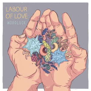 Labour Of Love