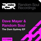 Dave Mayer - The Dam Sydney (With Random Soul) (EP)