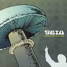 Seid - Among The Monsters Flowers Again