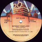 Without Your Love / Alive With Love (VLS)