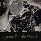 Disreflect - Some Brittle Words (Limited Edition)