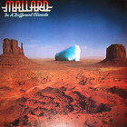 Mallard - In A Different Climate (Vinyl)