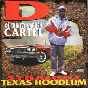 Straight Texas Hoodlum