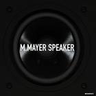 Michael Mayer - Speaker (VLS)