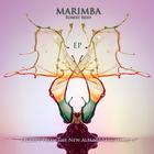 Robert Reed - Marimba (EP)