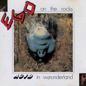 Acid In Wounderland (Special Edition 1997)