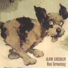 Slow Gherkin - Run Screaming