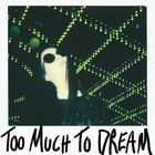 Allie X - Too Much To Dream (CDS)
