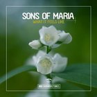 Sons Of Maria - What It Feels Like (EP)