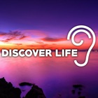 Discover Life (CDS)
