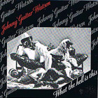 Johnny "Guitar" Watson - What The Hell Is This (Compilation)