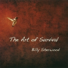 Billy Sherwood - The Art Of Survival