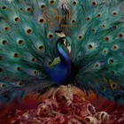 Opeth - Sorceress (Deluxe Edition) CD1