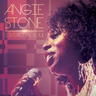 Angie Stone - Covered In Soul