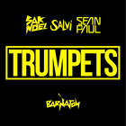 Sak Noel - Trumpets (With Salvi, Feat. Sean Paul) (CDS)