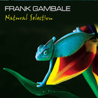 Frank Gambale - Natural Selection