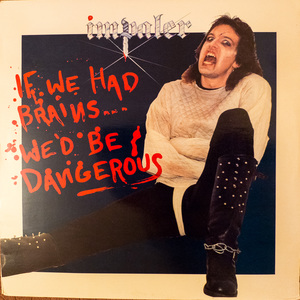 If We Had Brains... We'd Be Dangerous (Vinyl)