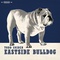 Todd Snider - Eastside Bulldog
