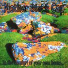 Mother Black Cap - In The Comfort Of Your Own Home