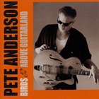 Pete Anderson (Country) - Birds Above Guitarland