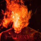 Tricky - Adrian Thaws (Deluxe Edition)