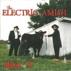 The Electric Amish - Milkin' It