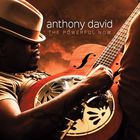 David Anthony - The Powerful Now