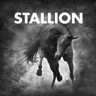 Stallion - Stallion 001