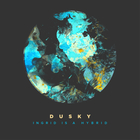 Dusky - Ingrid Is A Hybrid (CDS)