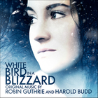 Robin Guthrie & Harold Budd - White Bird In A Blizzard