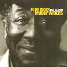 Muddy Waters - Blue Skies - The Best Of