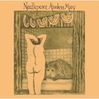 Needlepoint - Aimless Mary