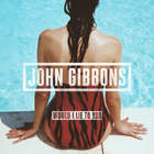 John Gibbons - Would I Lie To You? (CDS)