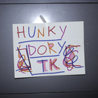 Tim Kinsella - Hunky Dory TK
