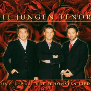 Wunderbar: Ihre Schönsten Lieder CD1