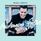 Mikael Gabriel - Pauhaava Sydän (CDS)