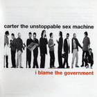 Carter The Unstoppable Sex Machine - I Blame The Government