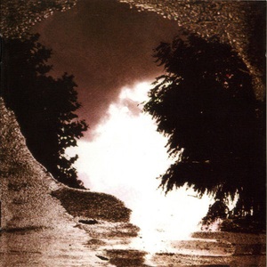 Feeding The Flame (Vinyl)