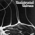Unobstructed Universe (Vinyl)