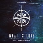 Lost Frequencies - What Is Love (CDS)